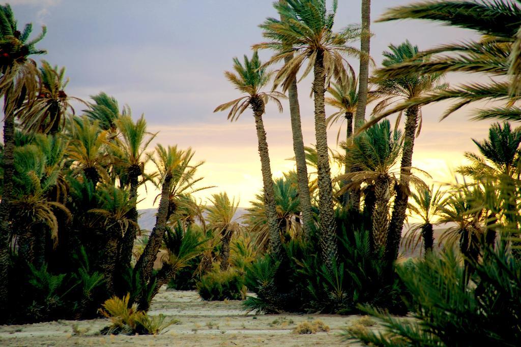 Skoura Lodge المظهر الخارجي الصورة